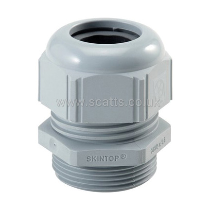 GST53015080/PK