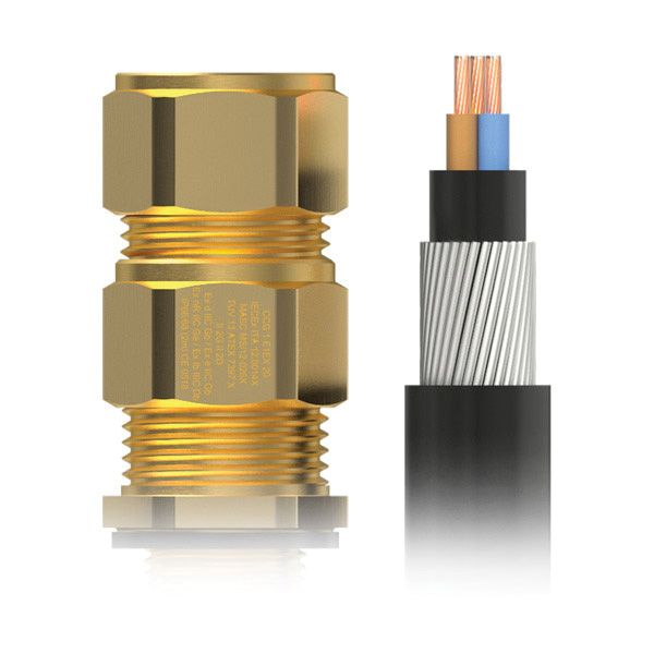 SJE1EX0020SS/PK