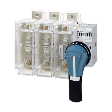 38416038