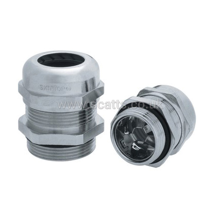 MSSC53112610/PK