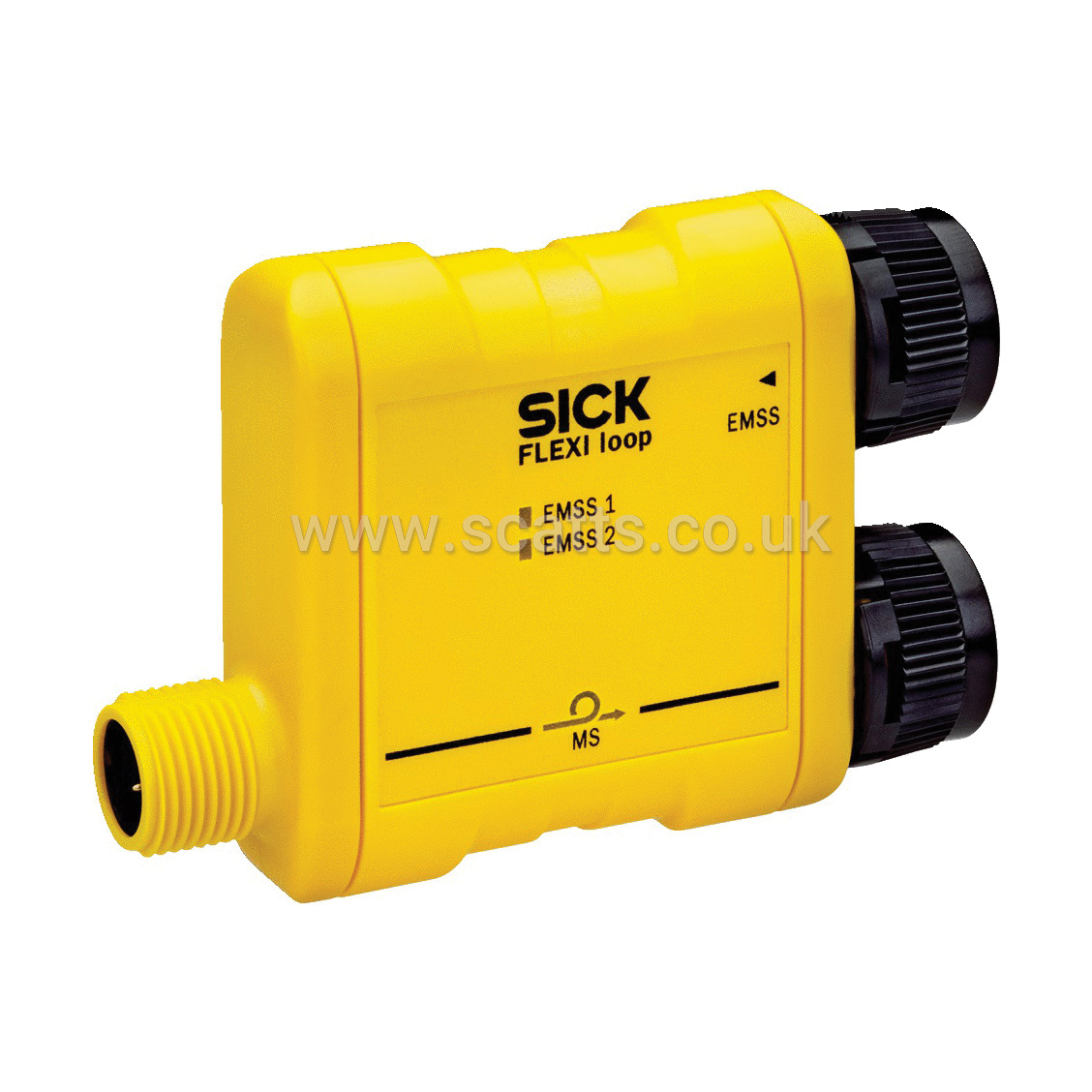 FLN-EMSS0000105