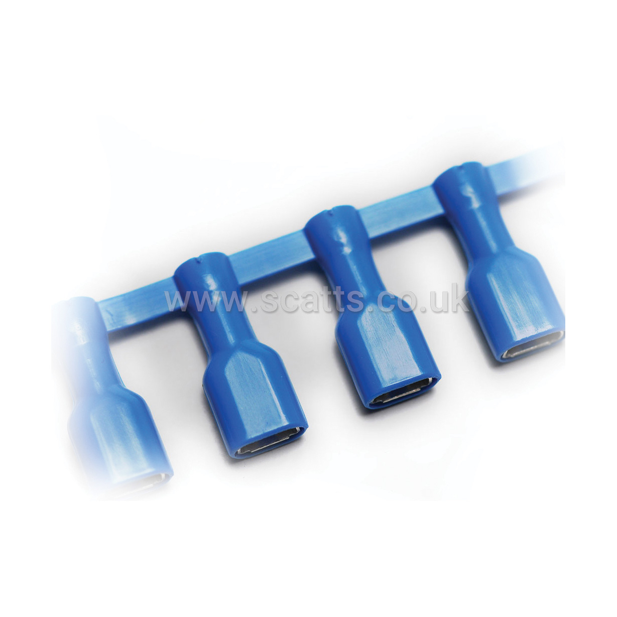 CBP-F608P/CHAIN1500