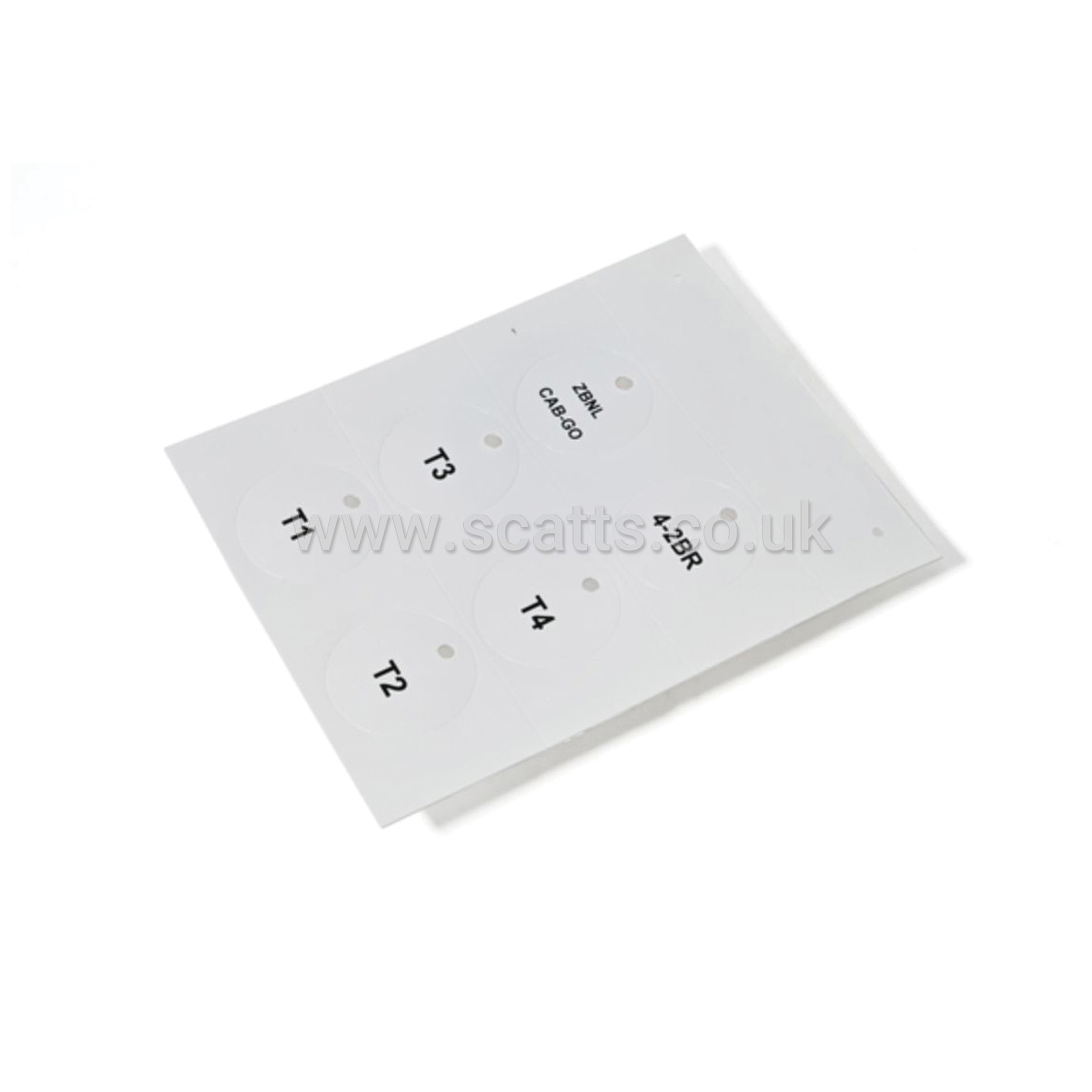 DOG-48397-HF/BOX
